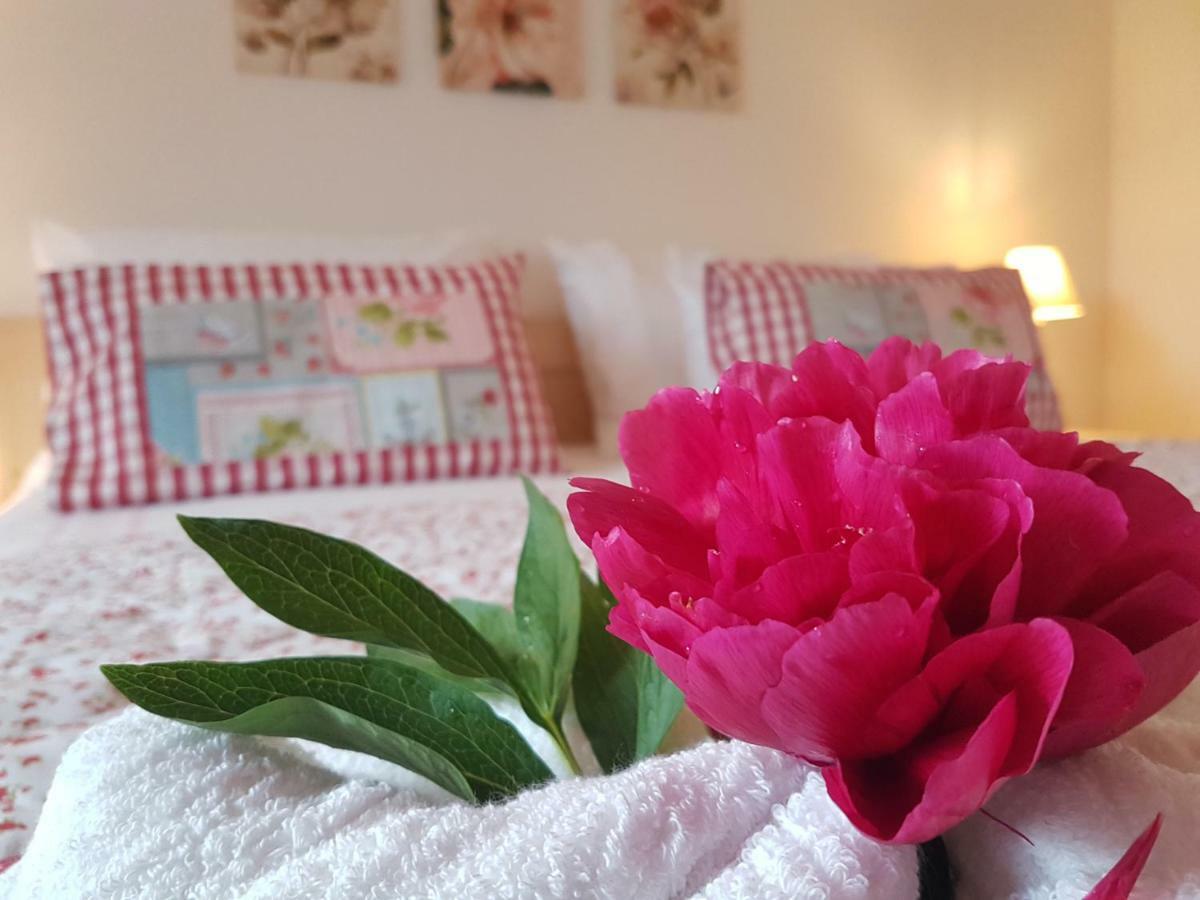 Apartment Eden Μπλεντ Εξωτερικό φωτογραφία
